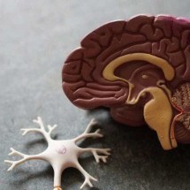 Cientistas localizam área cerebral ligada a deficiências em pacientes com Parkinson; confira -  Robina Weermeijer/Unsplash