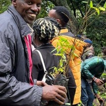 O país que decretou feriado para plantio de 100 milhões de árvores contra mudanças climáticas - Ken Mungai/BBC