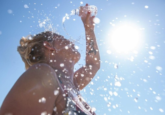 Há cuidados também a tomar para proteger os pets do calor extremo -  (crédito: Getty Images)