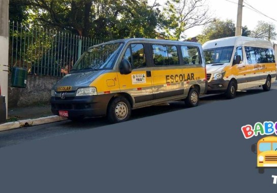 A van pertencia ao programa Transporte Escolar Gratuito (TEG) da Prefeitura de São Paulo. O órgão informou que descredenciou o motorista -  (crédito: Prefeitura de São Paulo/Divulgação)