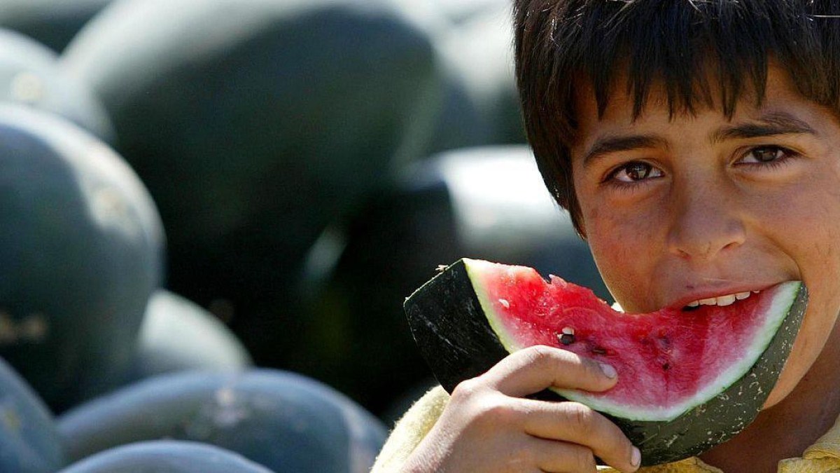 Como as melancias viraram um símbolo palestino