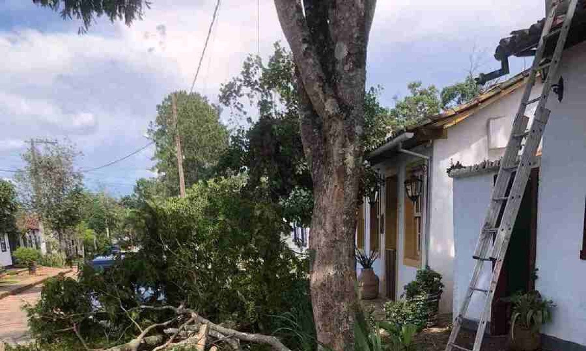 Com a chuva forte, árvores caíram sobre casas, carros, muros e passeios em Tiradentes.  -  (crédito: Arquivo pessoal)