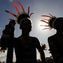 STF pede informações à União sobre proteção de indígenas isolados - Minervino Júnior/CB/D.A.Press