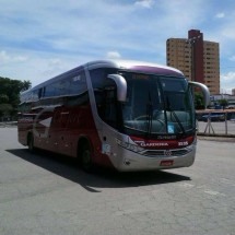 Deputados estaduais pedem fim do contrato de empresa de ônibus em Minas - Reprodução/Viação Gardenia