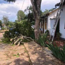 Chuva intensa causa falta de luz e queda de árvores em Tiradentes - Arquivo pessoal
