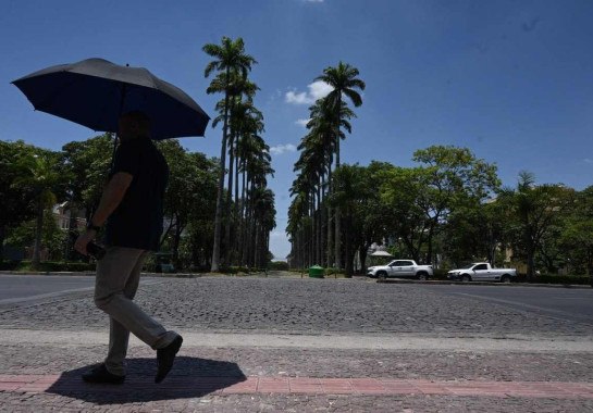 Homem usa guarda-chuva para fazer sombra enquanto anda pela Praca da Liberdade, na Região Centro-Sul de Belo Horizonte -  (crédito: Leandro Couri/EM/D.A.Press)