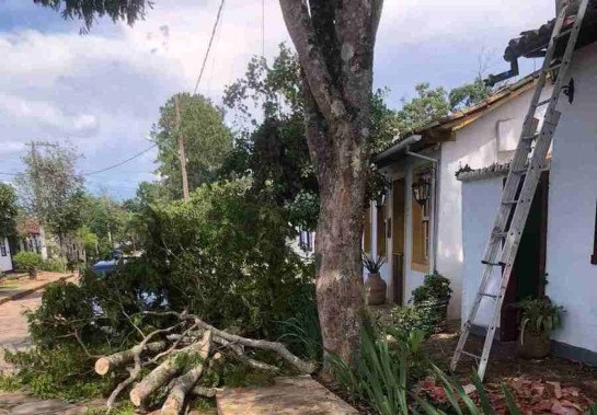 Com a chuva forte, árvores caíram sobre casas, carros, muros e passeios em Tiradentes.  -  (crédito: Arquivo pessoal)