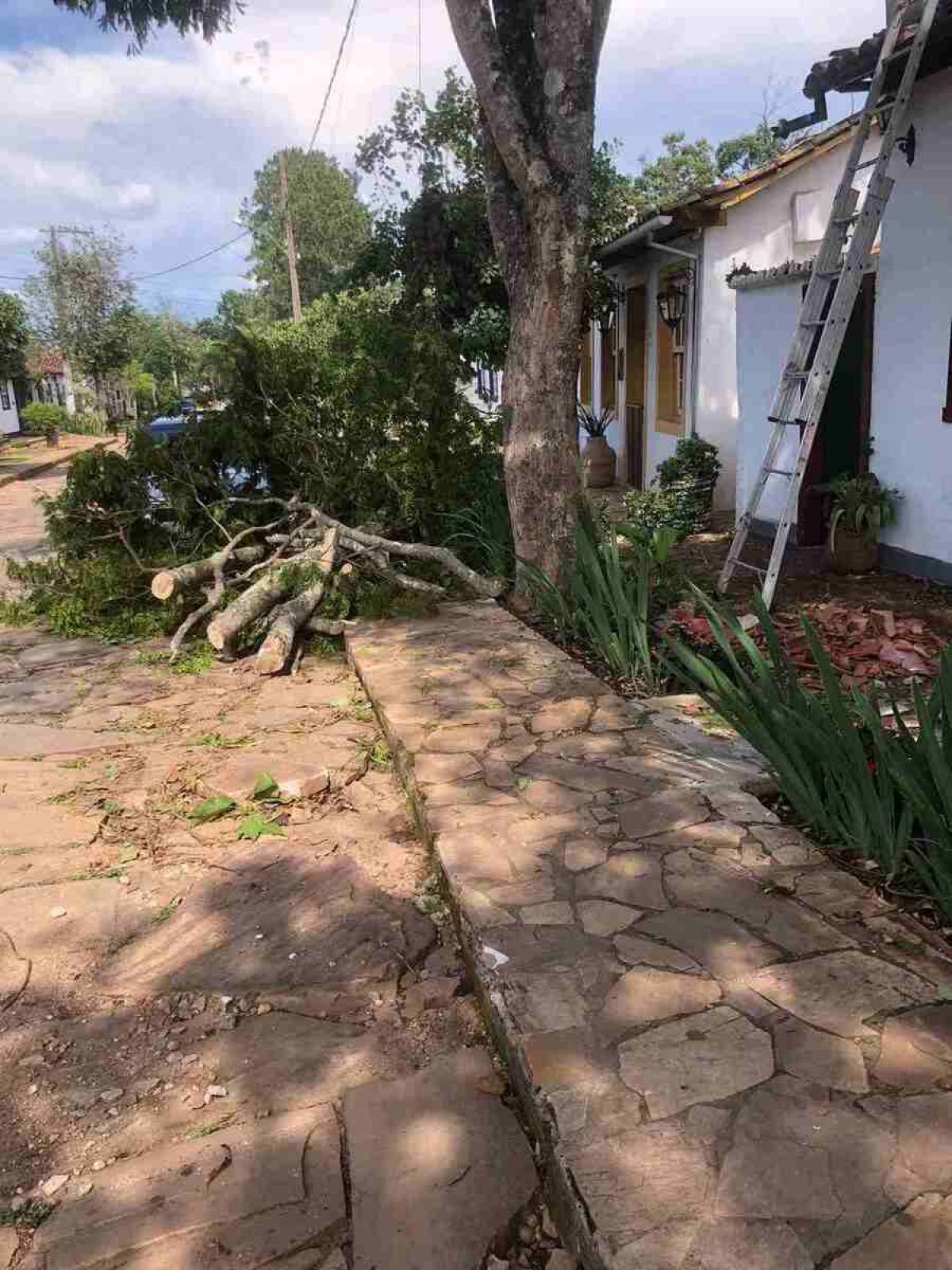 Chuva intensa causa falta de luz e queda de árvores em Tiradentes