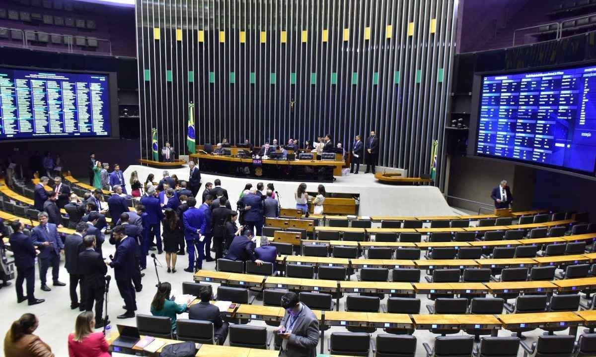 Lei de Diretrizes Orçamentárias (LDO) define como serão aplicados os recursos da União no ano que vem -  (crédito: Zeca Ribeiro / Câmara dos Deputados)