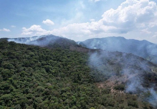 Vegetação seca contribui para queimadas  -  (crédito: Divulgação/ CBMMG)