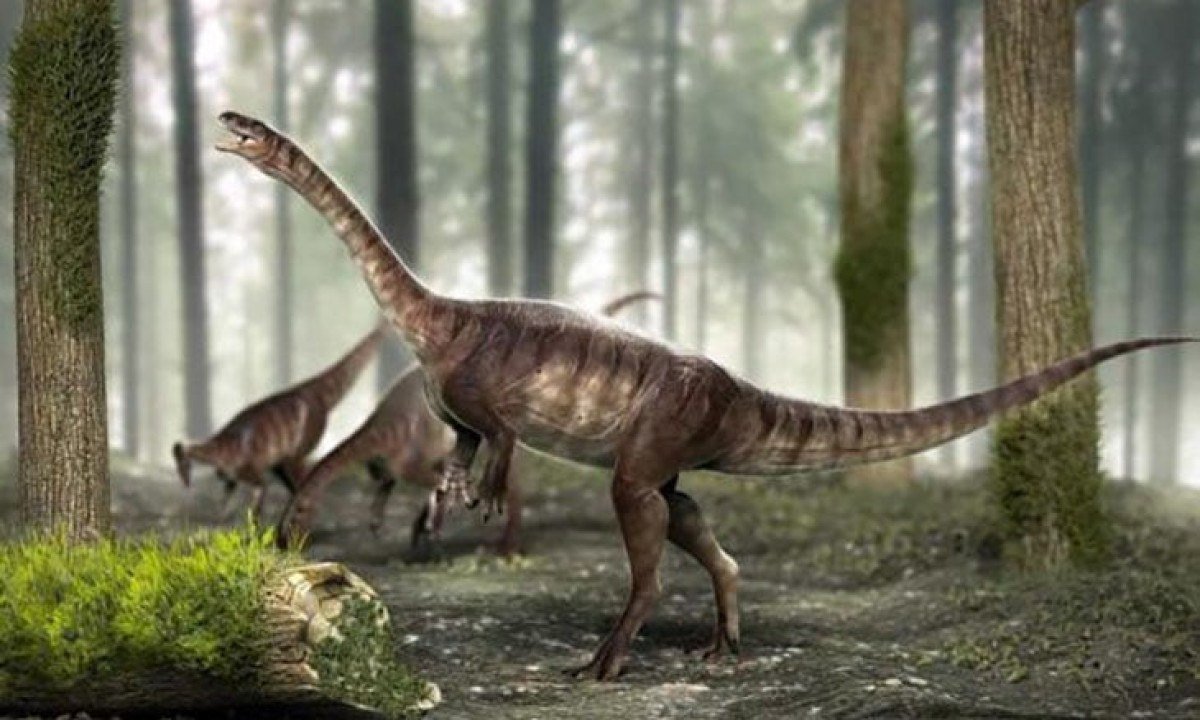 Brasil Jurássico: Dinossauros mais antigos do mundo viveram aqui
