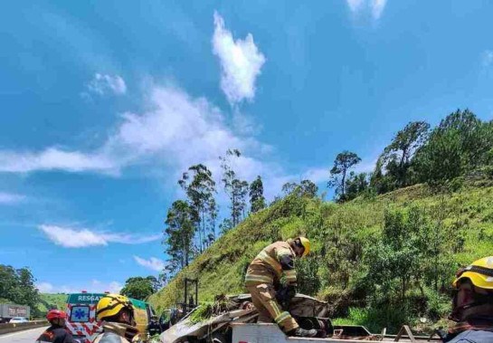 Corpo do motorista precisou ser retirado do veículo -  (crédito: Corpo de Bombeiros/Divulgação)