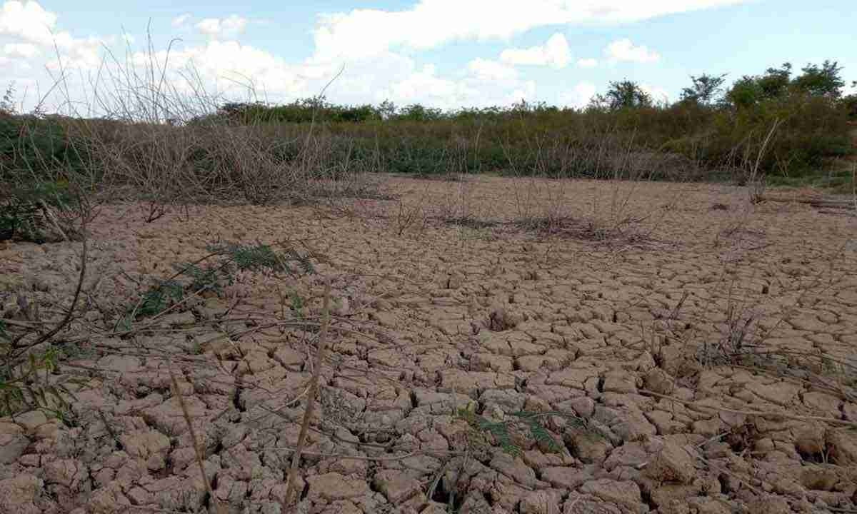 Manifesto de prefeitos e deputados pede à União medidas urgentes contra seca