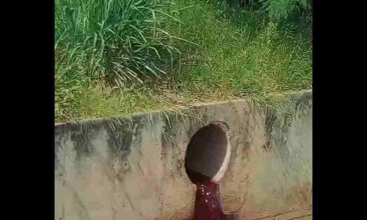Frigorífico despejando sangue em córrego de Betim  -  (crédito: Redes Sociais/Reprodução)