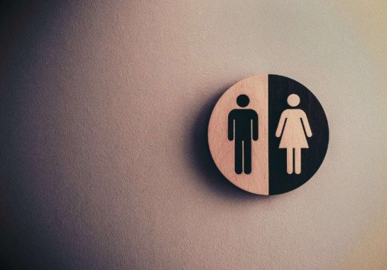 Lei sancionada hoje (21/11) garante banheiro por sexo biológico em igrejas -  (crédito: Tim Mossholder/Pexels)