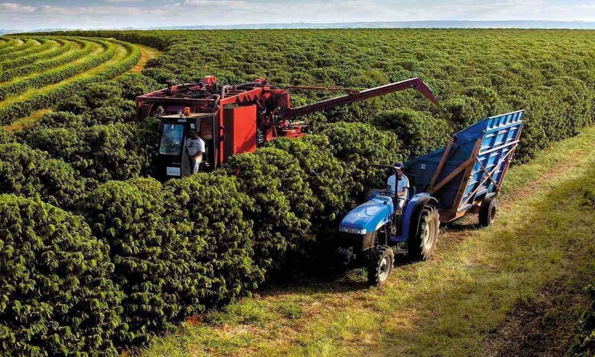 No Nordeste, grandes polos agrícolas, como os municípios de Barreiras e Luís Eduardo Magalhães, no Oeste baiano, conviveram com a longa ausência de chuvas. Em algumas localidades -  (crédito: Seapa/Divulgação – 14/12/22)