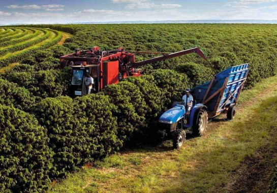 No Nordeste, grandes polos agrícolas, como os municípios de Barreiras e Luís Eduardo Magalhães, no Oeste baiano, conviveram com a longa ausência de chuvas. Em algumas localidades -  (crédito: Seapa/Divulgação – 14/12/22)