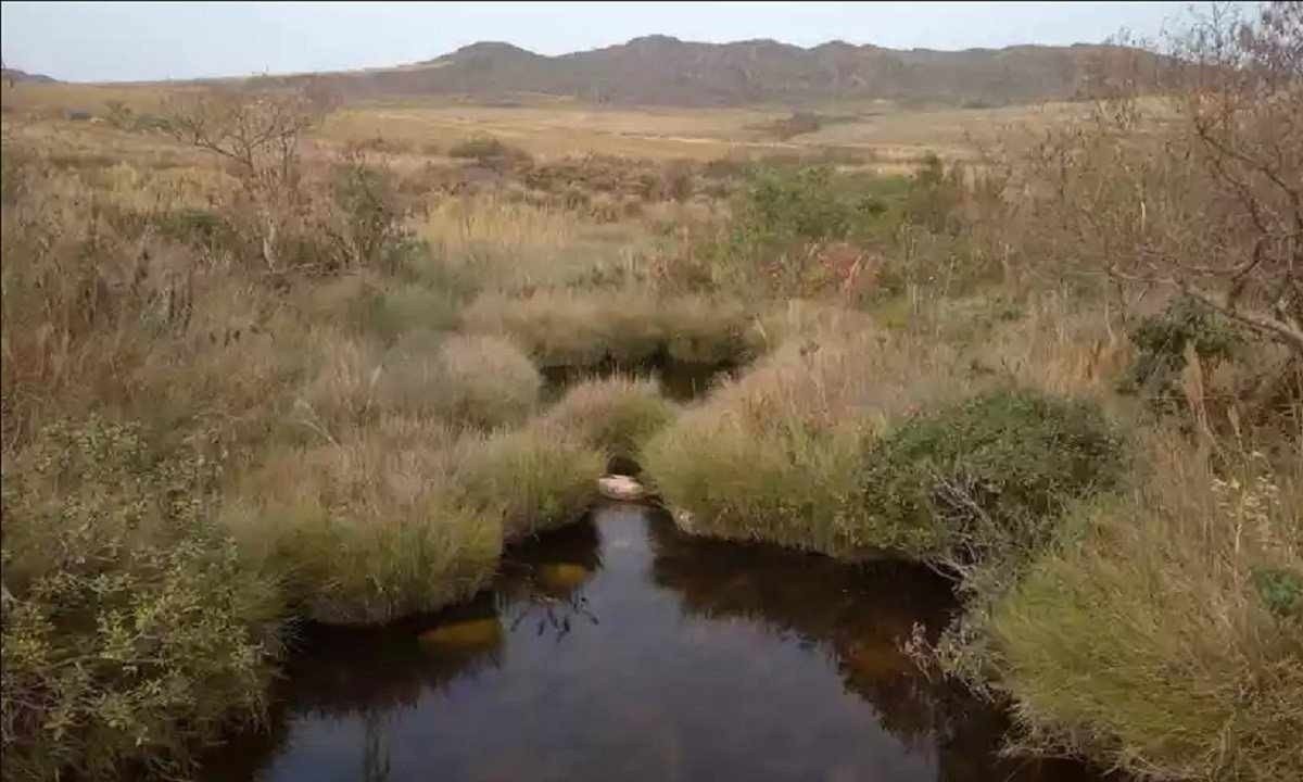 A nascente fica no município de São Roque de Minas, região Oeste do estado e o montante deve servir para obras de revitalização -  (crédito: Divulgação)