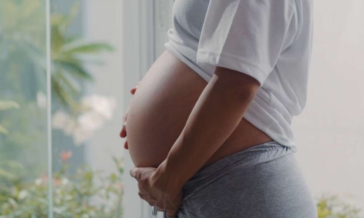 Entre os pontos de atenção durante a gravidez, estão a alimentação, o acompanhamento nutricional e ter uma rotina para a prevenção de complicações -  (crédito: Freepik)