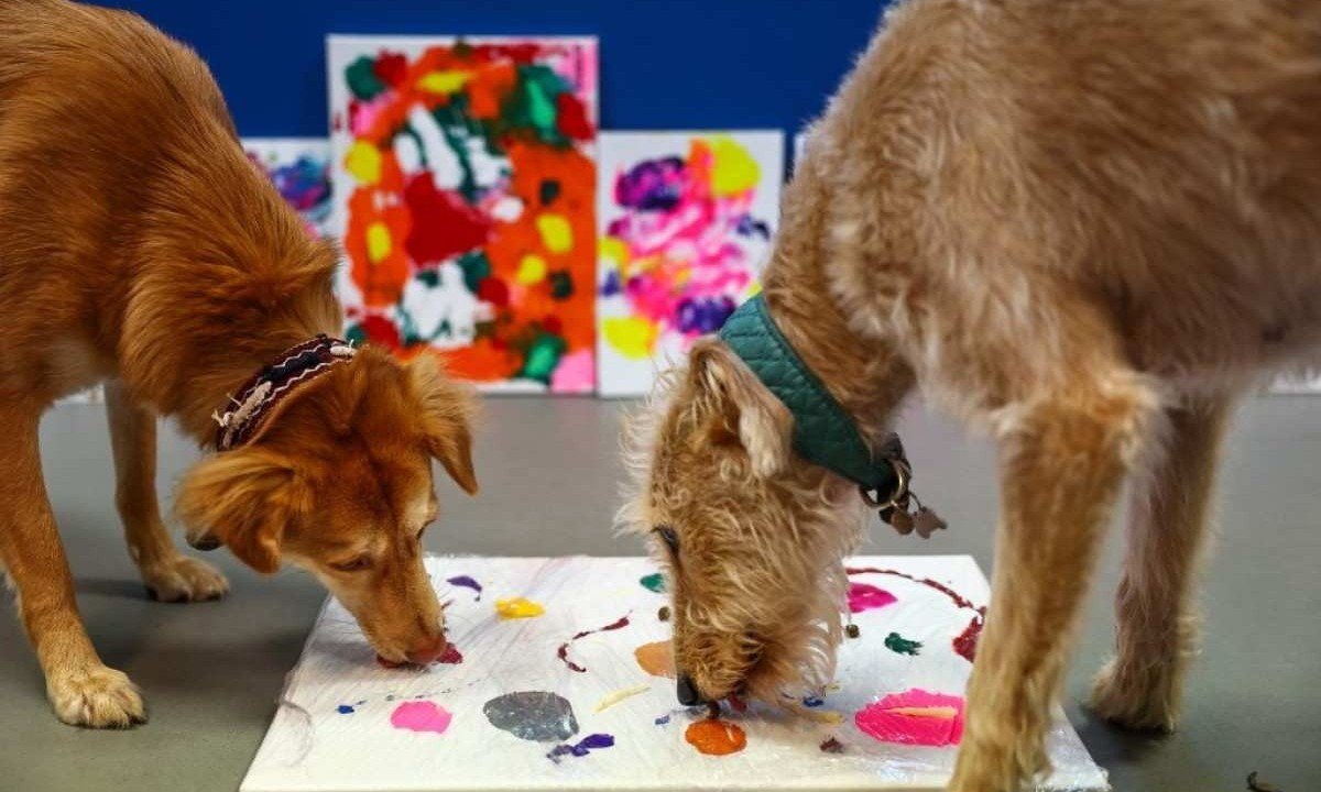 Cães resgatados das ruas pintam quadros para ajudar instituição de caridade, que ajuda pessoas pobres -  (crédito: HENRY NICHOLLS / AFP)