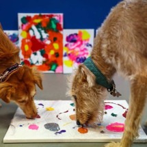 Cães abandonados viram artistas em associação de caridade britânica - HENRY NICHOLLS / AFP