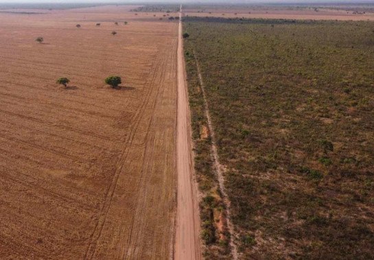Governo lançou plano para zerar desmatamento no Cerrado -  (crédito: Nelson Almeida/AFP)