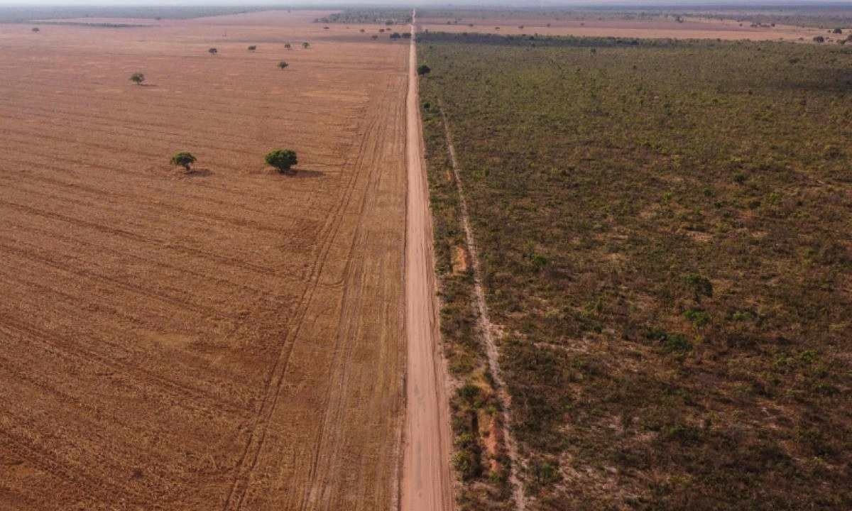 Governo lança plano para zerar desmatamento no Cerrado