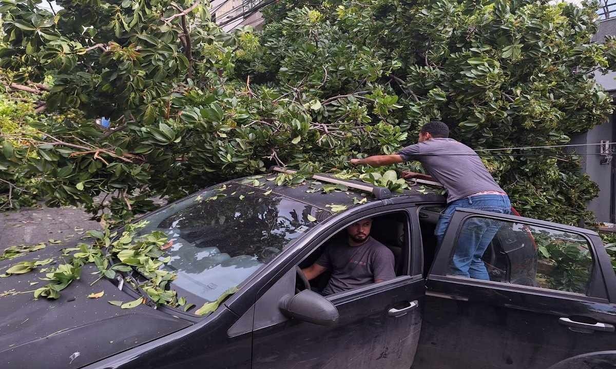 VÍDEO: Árvore de grande porte cai em cima de carro na Savassi