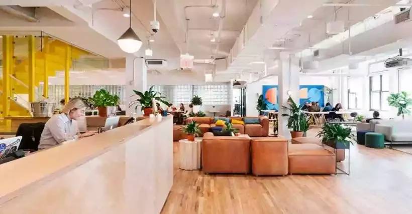WeWork -  (crédito: WeWork.com/Reprodução )