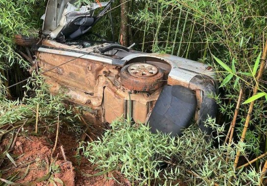 Após a batida, o veículo caiu em uma ribanceira de cerca de quatro metros -  (crédito: Corpo de Bombeiros/Divulgação)