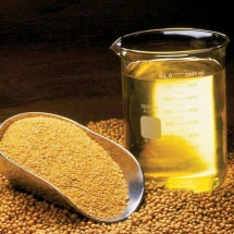 Pesquisa investiga composto da soja que pode amenizar efeitos da menopausa; entenda - United Soybean Board or the Soybean Checkoff/Wikimedia Commons