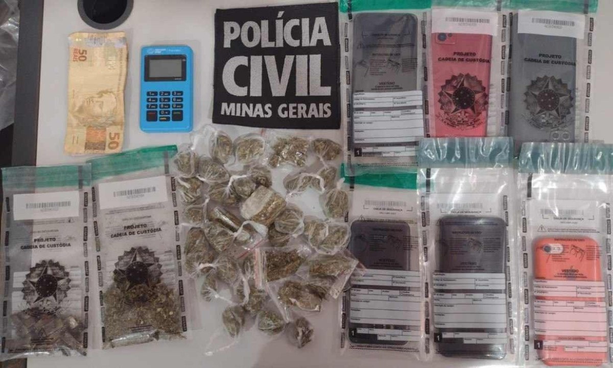 Material foi encontrado e apreendido durante a operação -  (crédito: PCMG/Divulgação)