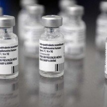 Taxa de HPV no ânus atinge 52% dos jovens; mulheres são as mais afetadas, diz estudo inédito - Fickr