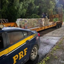PRF intercepta carregamento de 1,8 tonelada de maconha em Juiz de Fora - PRF/Divulgação