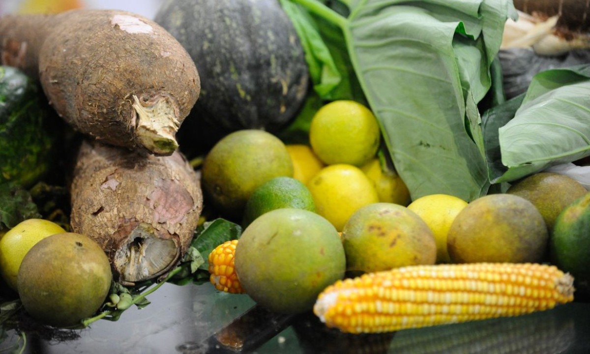 Agrotóxicos: 25% dos alimentos de origem vegetal no país têm resíduos  -  (crédito: EBC - Saúde)