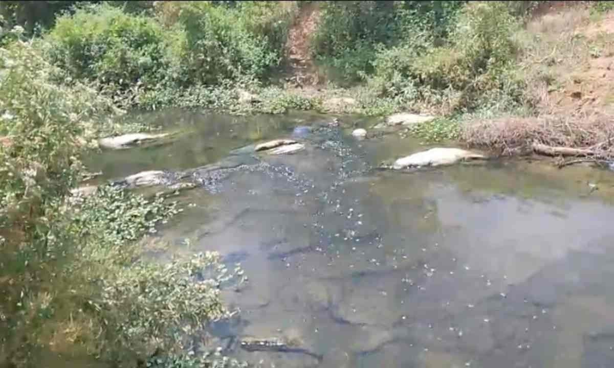 Na foto, é possível ver o córrego Calhauzinho em seu deságue no Rio Araçuaí -  (crédito: Arquivo Pessoal/Sérgio Vasconcelos)