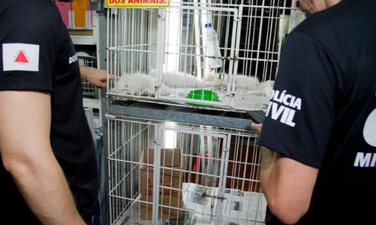 Operação do Ministério Público para investigar maus tratos a animais do Mercado Central de Belo Horizonte -  (crédito: Eric Bezerra/MPMG)