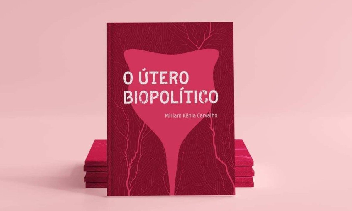 Durante a gesta&ccedil;&atilde;o de seu primeiro filho, Miriam come&ccedil;ou as pesquisas sobre os atravessamentos biopol&iacute;ticos no corpo com &uacute;tero, pelo vi&eacute;s da comunica&ccedil;&atilde;o -  (crédito: Divulga&ccedil;&atilde;o)