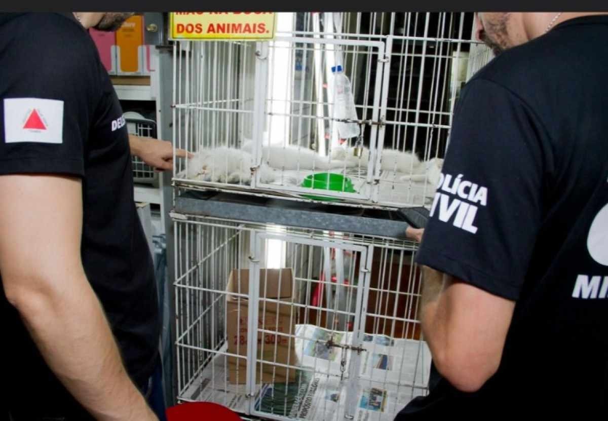 BH: comerciante de animais é preso durante fiscalização no Mercado Central