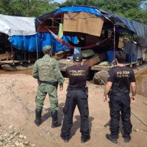 Mais de 30 pessoas são presas em ação contra garimpo ilegal em Minas - PF
