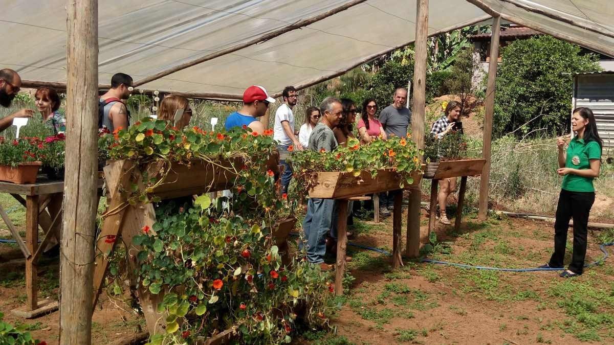 Em São João del-Rei, família tem produção de flores comestíveis e abre fazenda para visitação