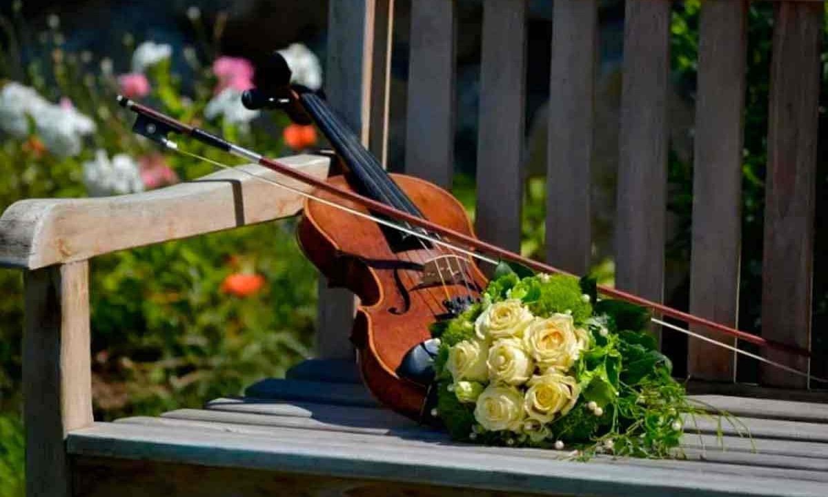 violino com flores -  (crédito: PIXABAY)