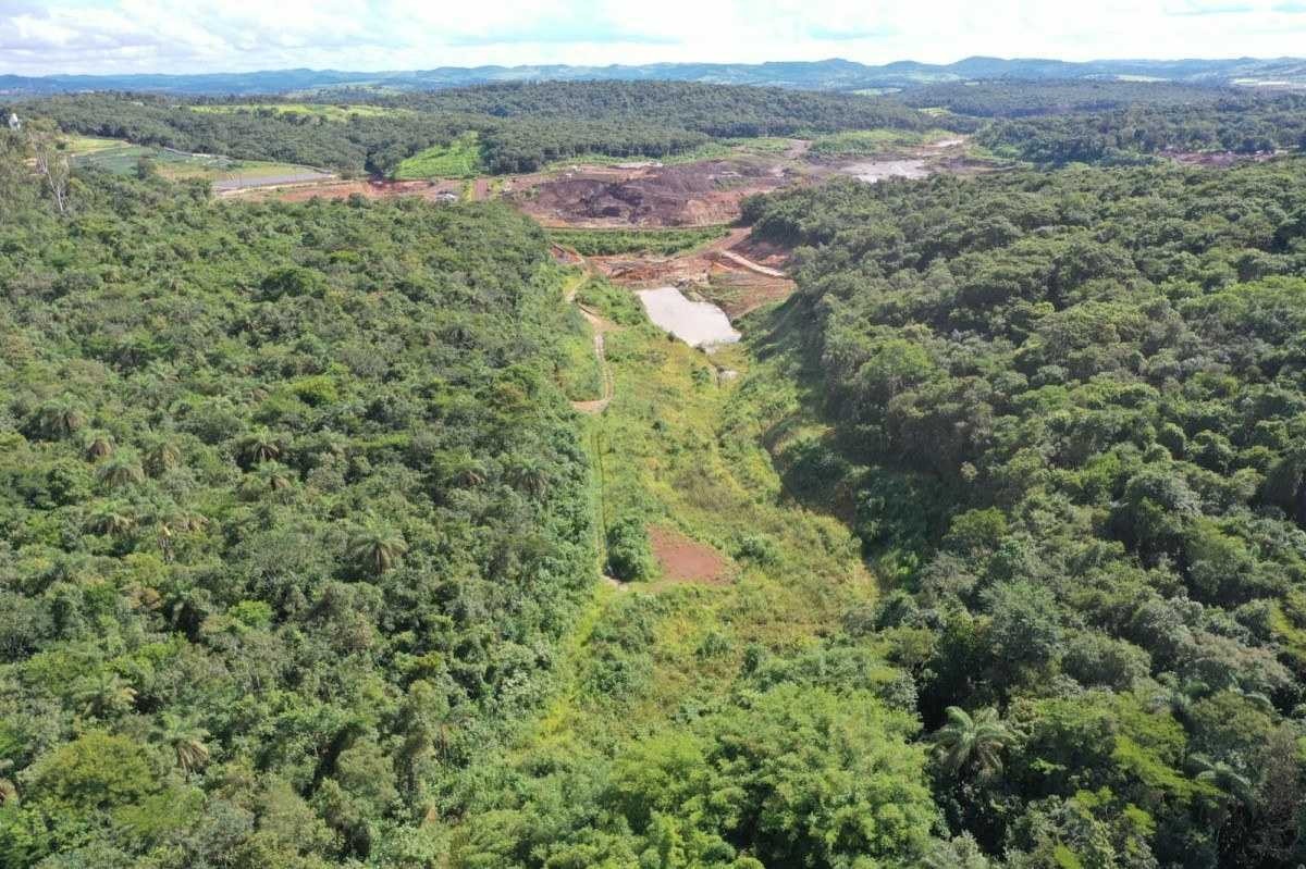 Reparação ambiental da região afetada 