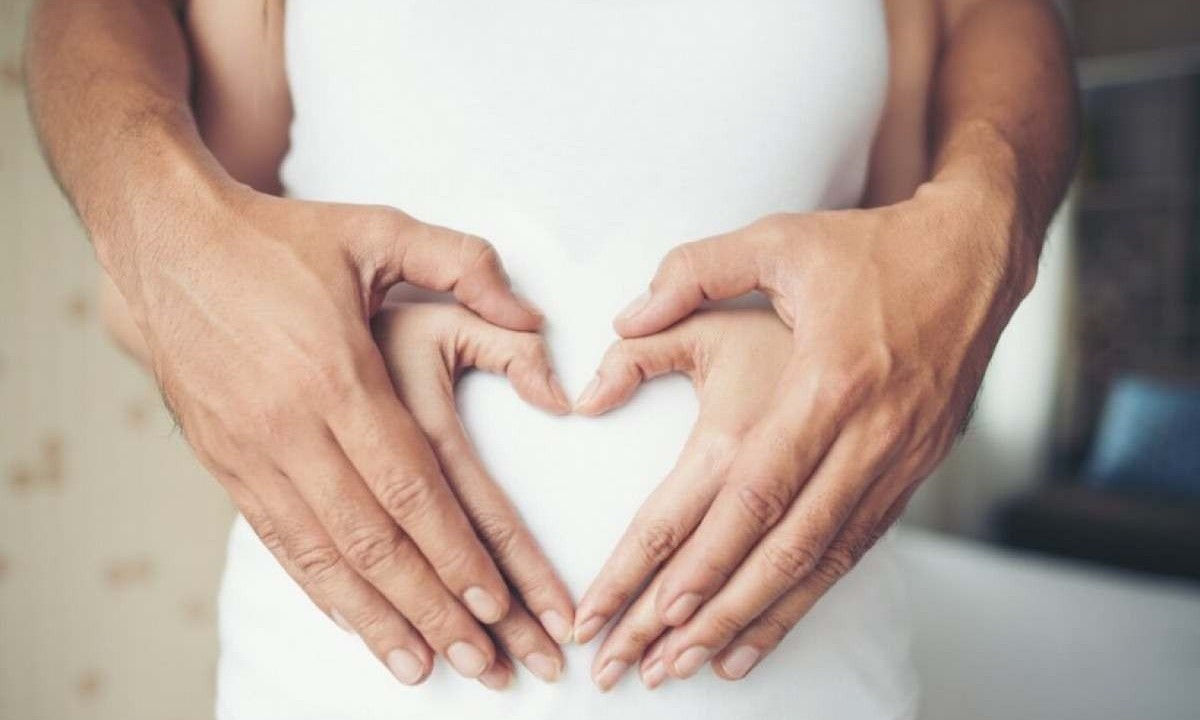 Óvulos, espermatozoides e útero saudáveis potencializam as chances de gravidez, diminuem risco de aborto, parto prematuro, pré-eclâmpsia e restrição de crescimento intrauterino -  (crédito: Freepik)
