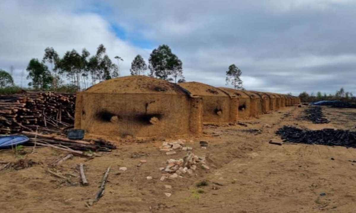 Fazenda onde o MPT encontrou indícios de violação trabalhista -  (crédito: Divulgação/MPT-MG)