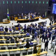 Parlamentares derrubam veto de Lula à desoneração da folha de pagamentos - Zeca Ribeiro / Câmara dos Deputados