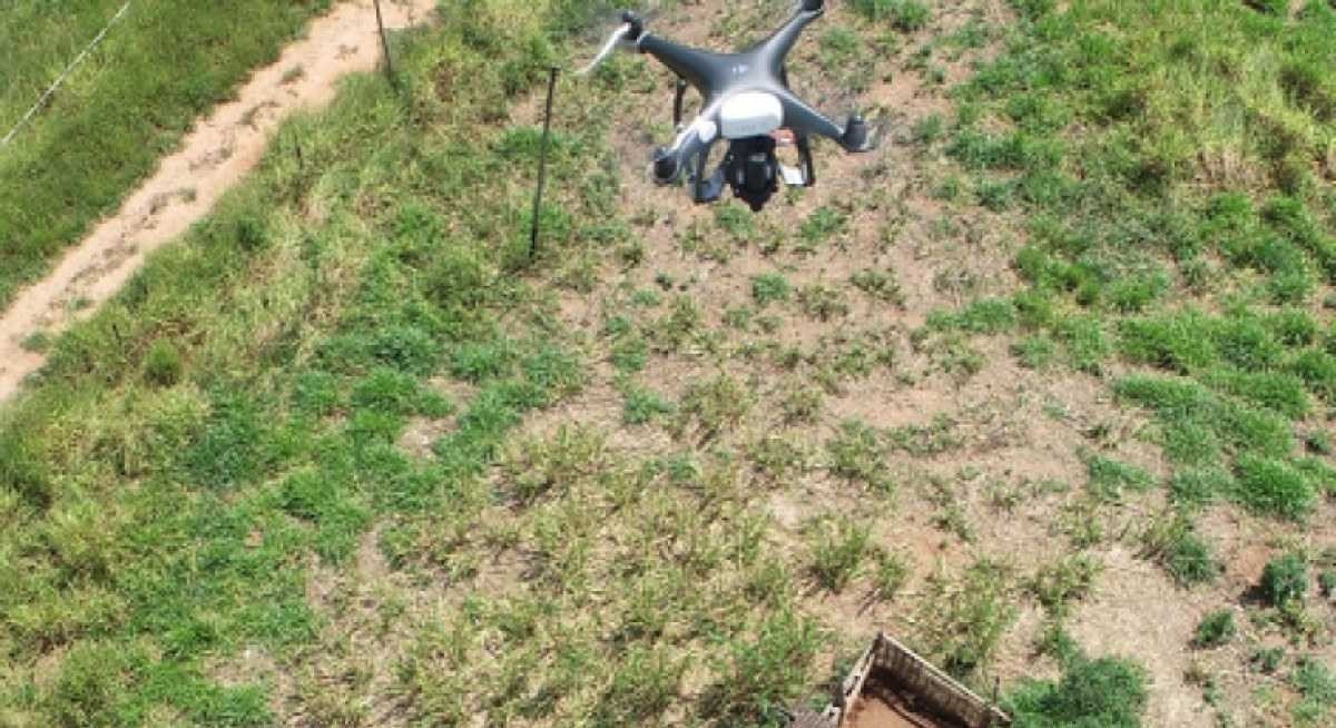 Drones da prefeitura de BH mapeiam e combatem o Aedes aegypti