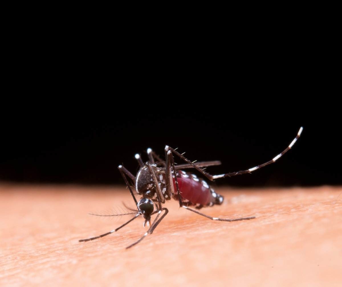 MG vai receber R$ 11 milhões para lidar com dengue, zika e chikungunya
