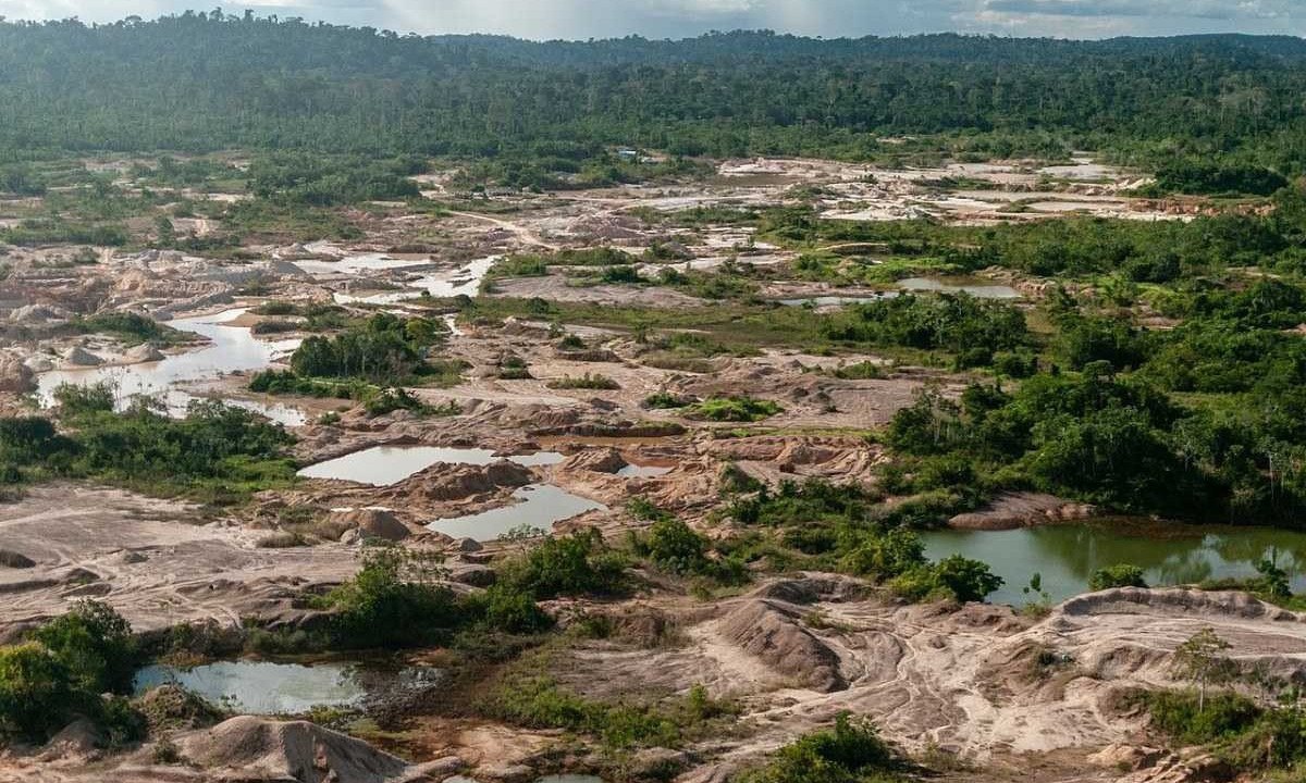 Grupo Especializado de Fiscalização (GEF) do Ibama combate desmatamento e garimpo de cassiterita na Terra Indígena Tenharim do Igarapé Preto (AM) -  (crédito: Ibama/Divulgação)