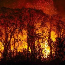 Pantanal: por que chuvas não são suficientes para proteger bioma de fogo recorde -  Joédson Alves/Agência Brasil